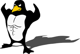 Power-Penguin